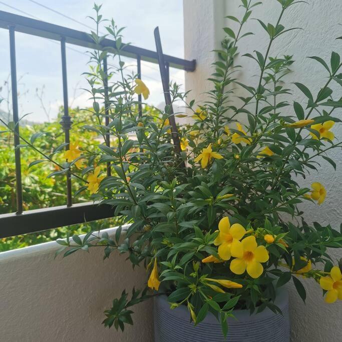 1 Bedroom Apt With Ac , Tv , Wi-Fi Near Dt And Beach Zihuatanejo Kültér fotó
